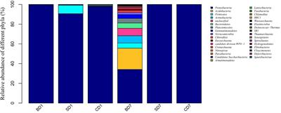 BALOs Improved Gut Microbiota Health in Postlarval Shrimp (Litopenaeus vannamei) After Being Subjected to Salinity Reduction Treatment